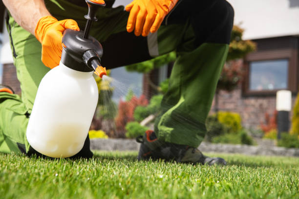 Best Flea Control Services  in West Slope, OR