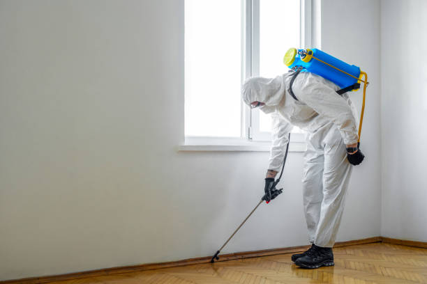 Pest Prevention Services in West Slope, OR